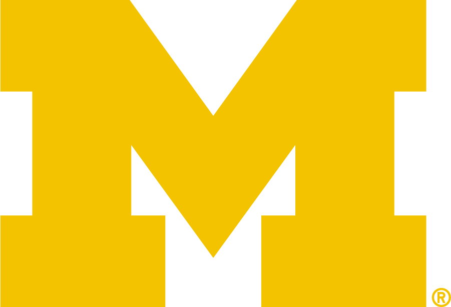 Michigan Wolverines 2016-Pres Primary Logo diy DTF decal sticker